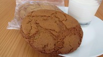 Giant Ginger Cookies 90g single wrap